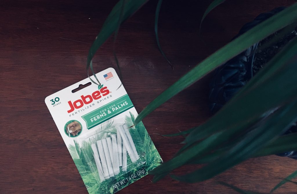 It is easy to feed your houseplant with Jobes Houseplant Food Spikes