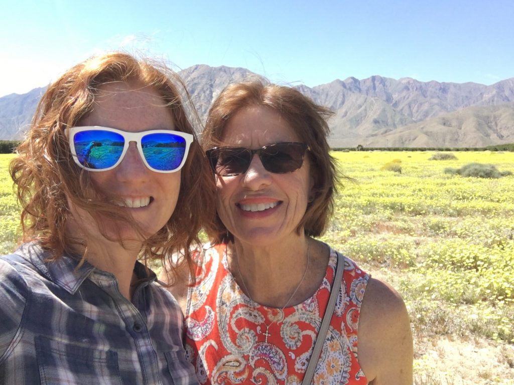 Here we are happily standing in a field of Desert Dandelion or Malacothrix glabrata