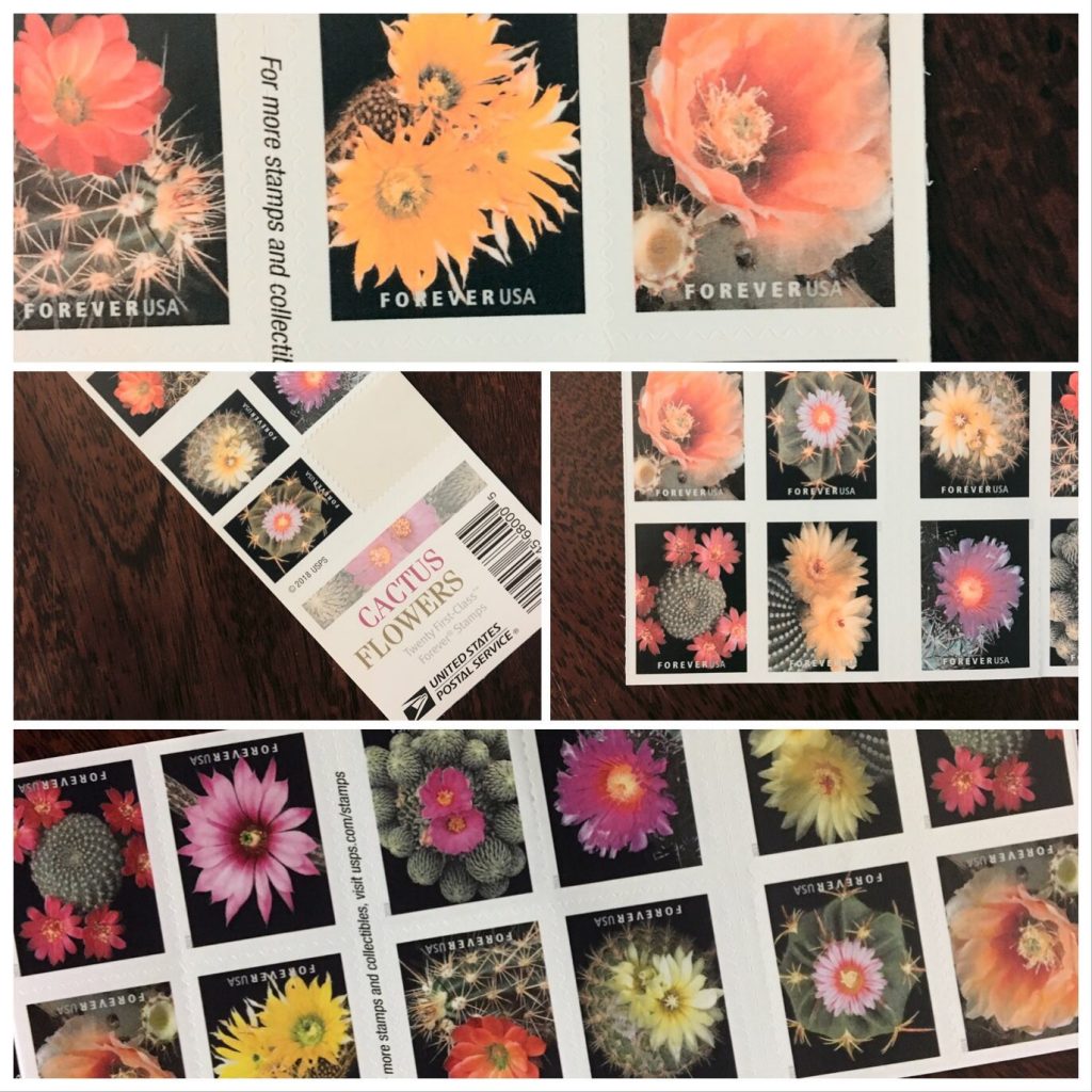 cactus flower stamp layout