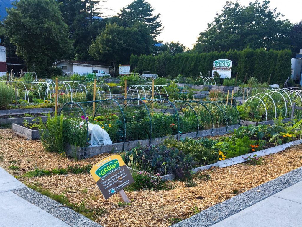 Squamish Community Garden