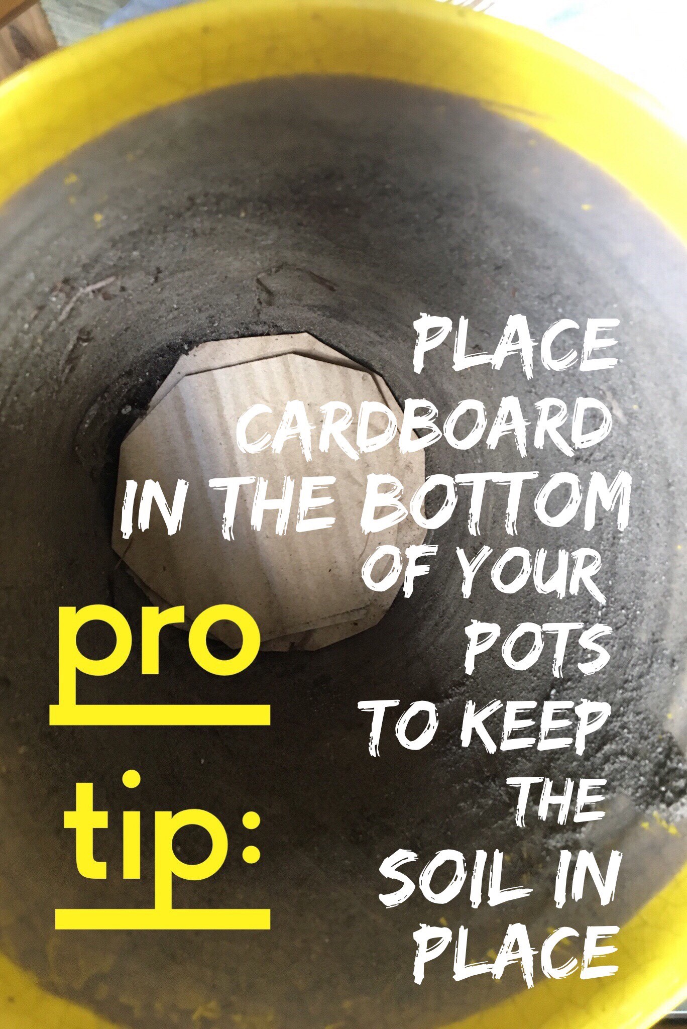 Pro Tip: Place cardboard in the bottom of your pots to keep the soil in place