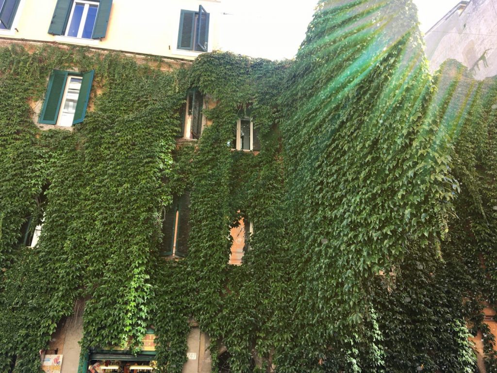 Monti hanging garden over the street
