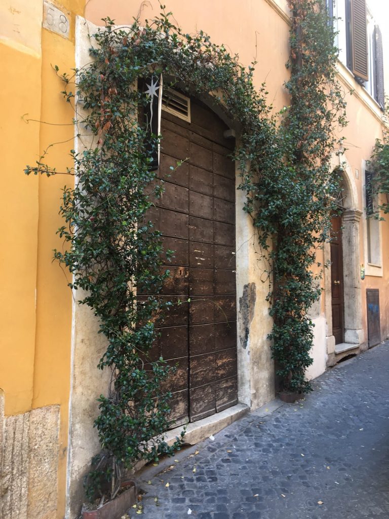 Roman doorway framed by plants
