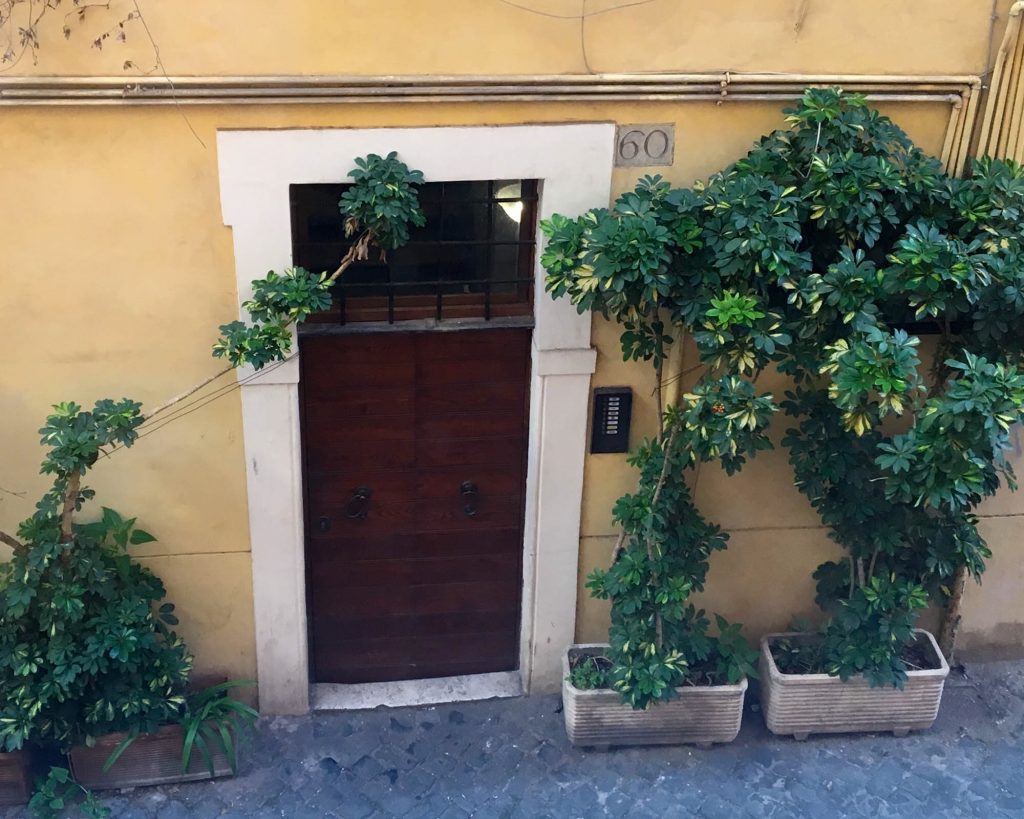 Roman doorway with vertical plants