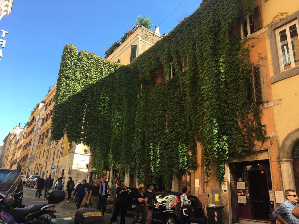 Rome Monti hanging garden over the street